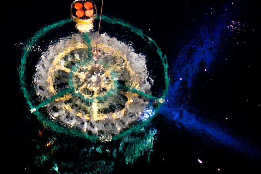 El océano profundo alberga sustancias fluorescentes capaces de almacenar carbono antropogénico