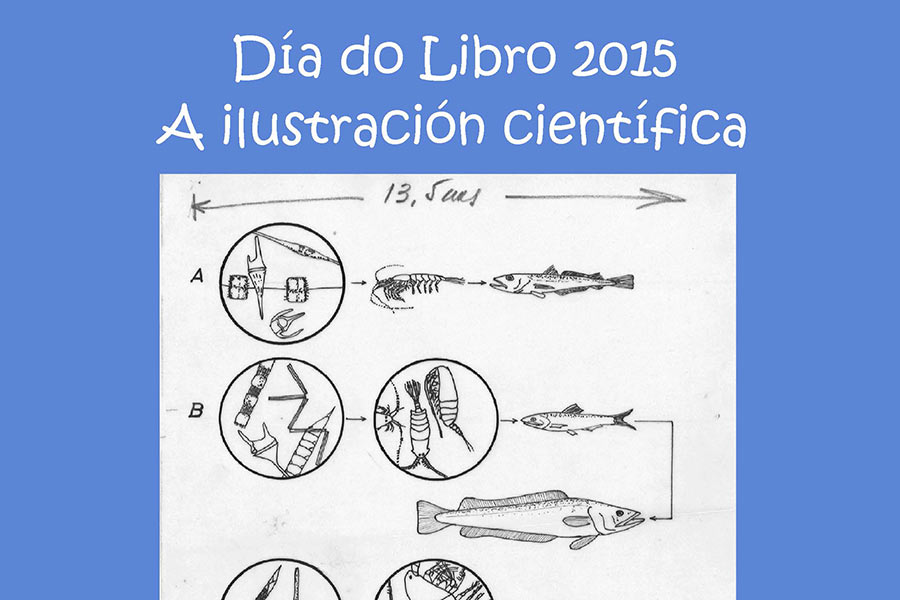 El IIM promueve en Vigo una exposición y un taller de ilustración científica con motivo del Día del Libro