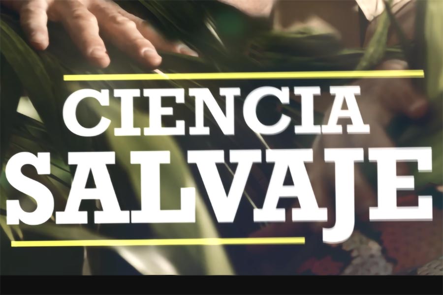 La Unidad de Cultura Científica del CSIC en Galicia cumple una década divulgando la I+D+i al público no especializado