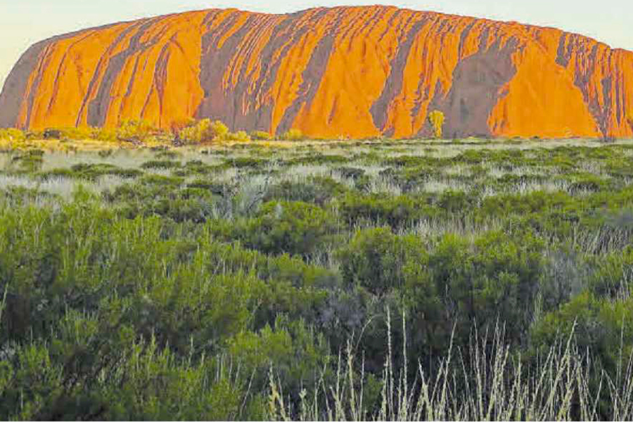 Un antropólogo en Australia