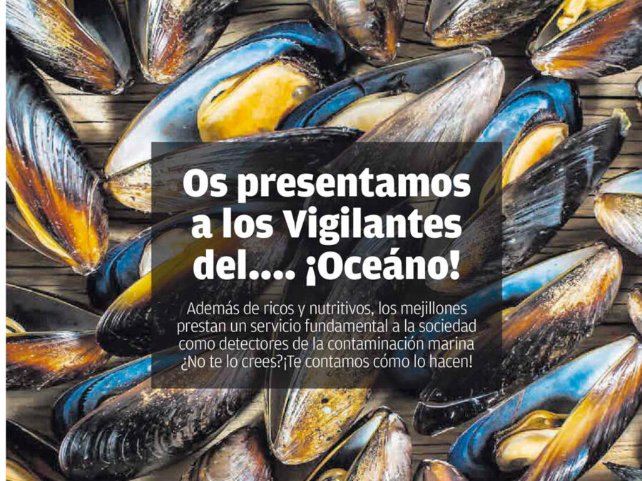 Por Juan Santos Echeandía (Centro Oceanográfico de Vigo)