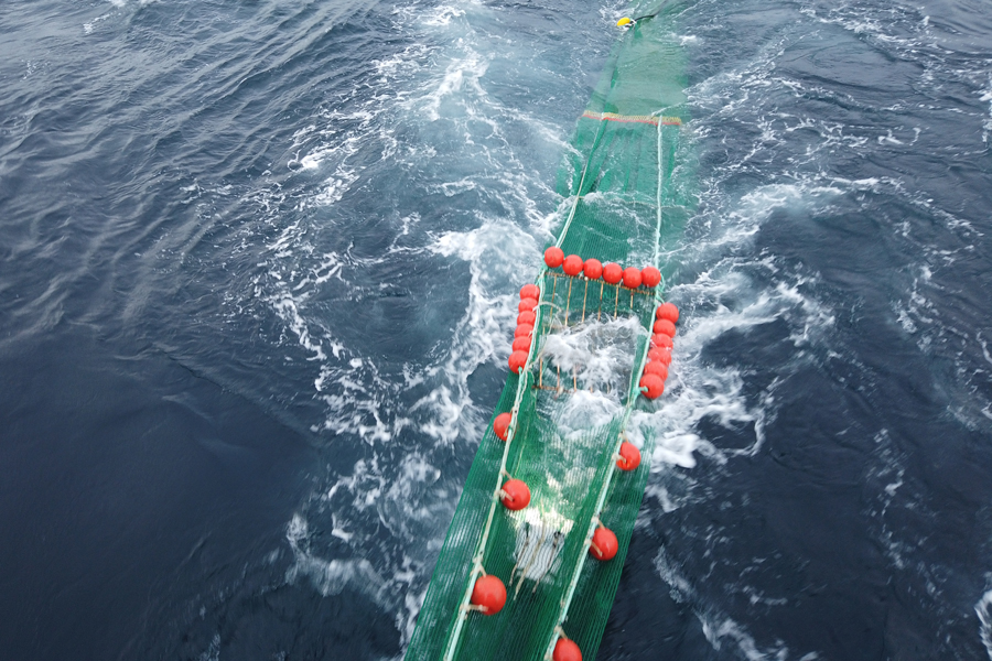 Un equipo del IEO estudia mejoras en la selectividad de la pesca de arrastre
