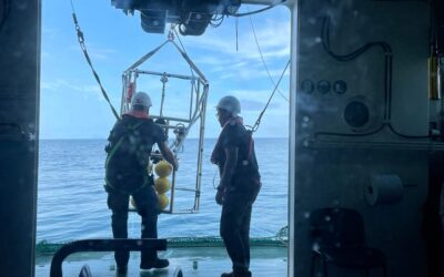El IEO investiga la abundancia de cigala en Galicia a través de imágenes submarinas