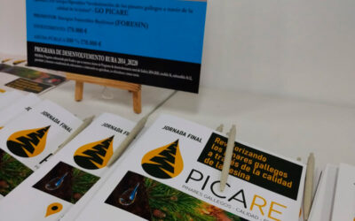 La MBG acoge en Pontevedra la jornada “Revalorizando los pinares gallegos a través de la calidad de la resina”