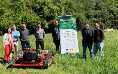 AGRI-ROVENAT ensaya con ovejas y un robot técnicas para conservar la cubierta vegetal en olivar y viñedo gallego